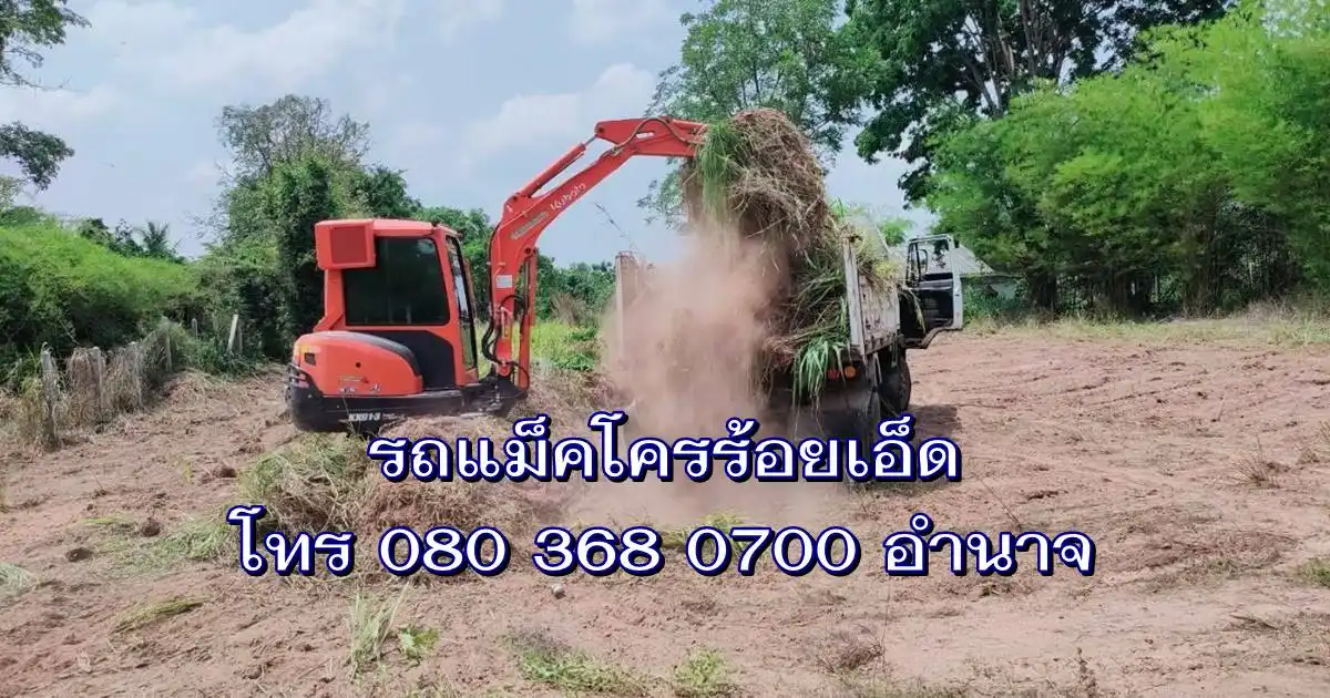 รถแม็คโครรื้อป่าร้อยเอ็ด